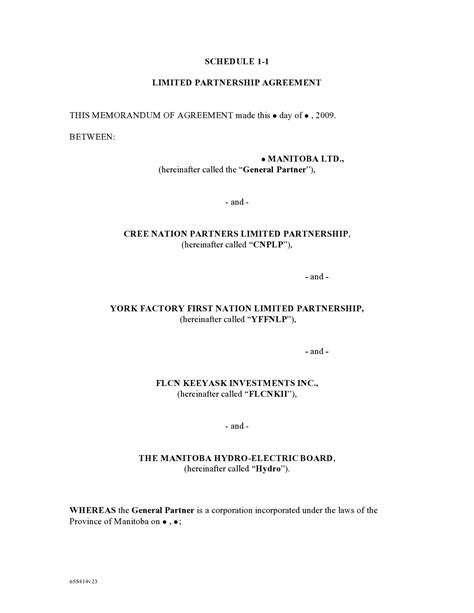 Example of a Limited Partnership 的图像结果
