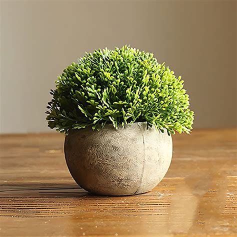 Primrue Simulated Green Plants, Small Potted Plants, Desktop ...