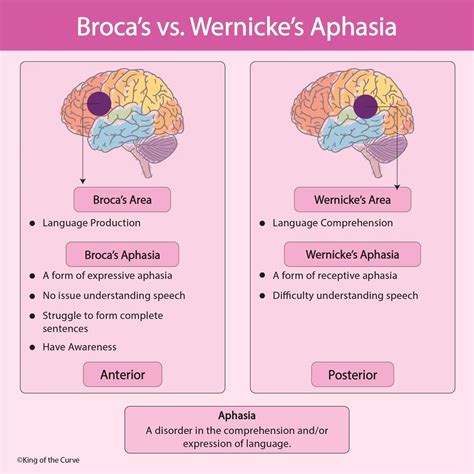 🧠 Broca’s vs. Wernicke’s Aphasia: Understanding Language Impairments ...