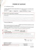 CRISTALES FINALES, El Cristal del ORO - Un Friki En Japón