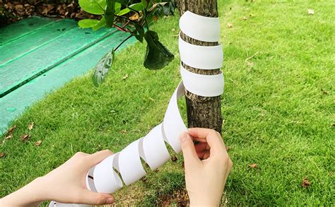 Rezultat imagine pentru Homemade Tree Trunk Protector