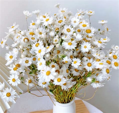 The 25 Most Beautiful White Flowers You Need to Know About