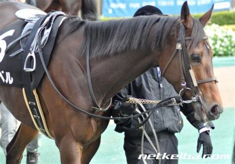 イサベル (Isabel) | 競走馬データ - netkeiba