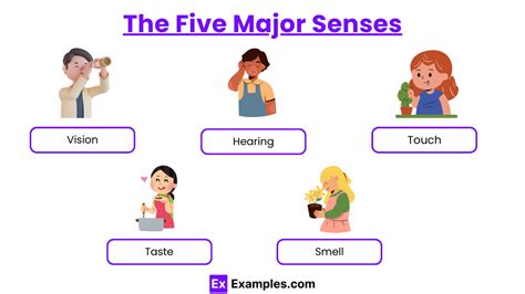 Perception Examples 的图像结果