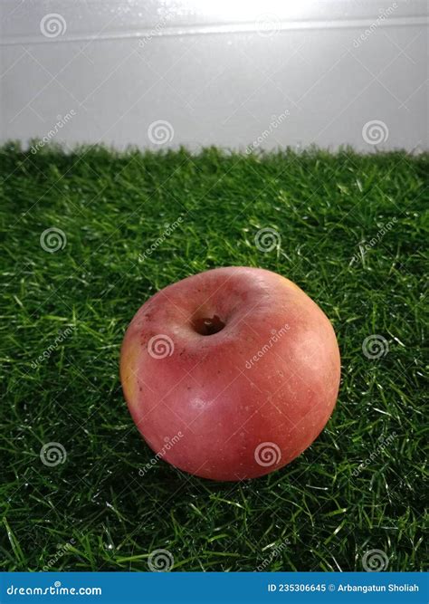 Fuji Apples are Large Apples with a Honey Sweet Taste. it is Firm ...