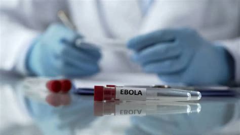 New Ebola Outbreak in DR Congo Reported, Death Toll Rises to 15