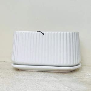 Bharat Pushpam Bharat Pushpam RC13 Plant Container Set Price in India ...