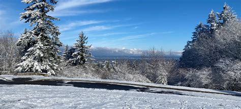 Council Crest via Marquam Trail, Oregon - 2,399 Reviews, Map | AllTrails