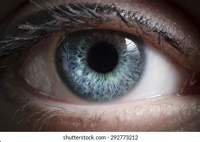 Blue Eye Macro Bot Tutorial 的图像结果