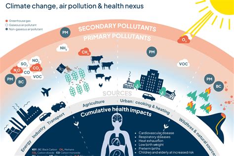 Expert Briefing: Air pollution, health risks and climate change - Centre for Climate Engagement