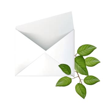 Leaflets Envelope 的图像结果