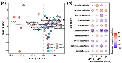 Effects of Different Carbon and Nitrogen Ratios on Nitrogen Removal Efficiency and Microbial ...