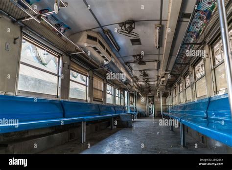 Train Full Local 的图像结果