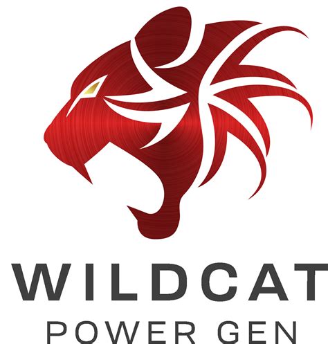 Image result for Wildcat Code Generator