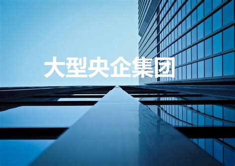 96家最新央企名录来了！60%的央企设立了融资租赁公司-零壹财经