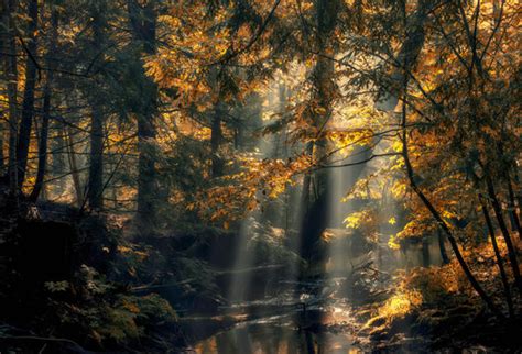 Image result for Native Reserve