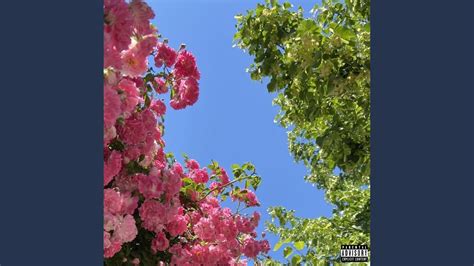 Image result for Break Less Song