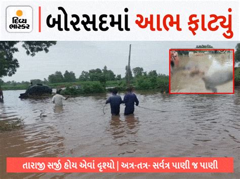 Heavy rains with thunderstorms and strong winds at midnight ...