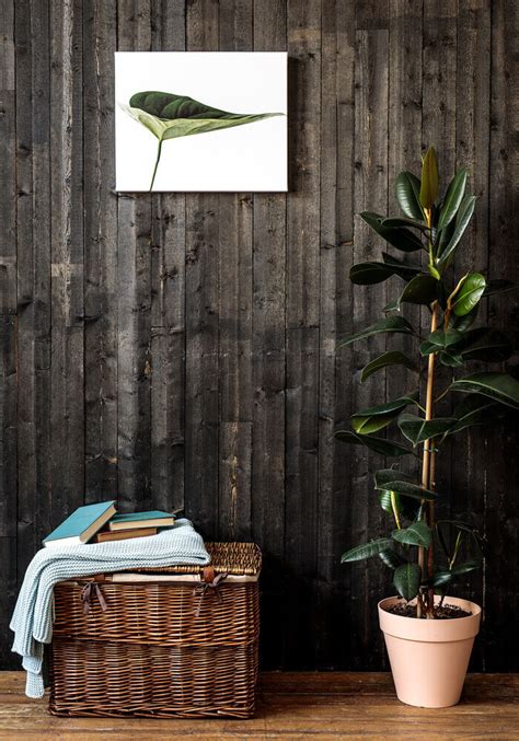 Baseball Field Design 的图像结果