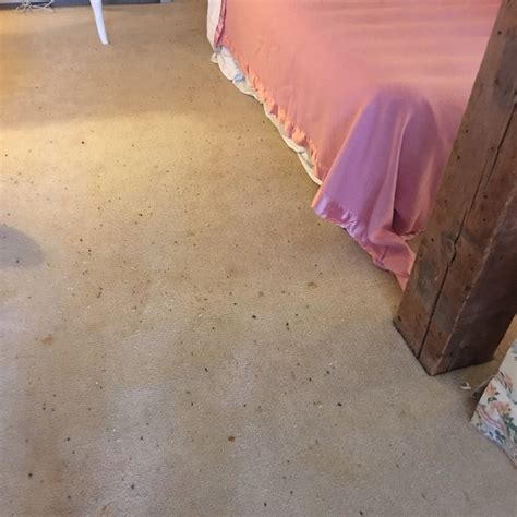 INN AT SAWMILL FARM (Dover) - B&B Reviews & Photos - Tripadvisor