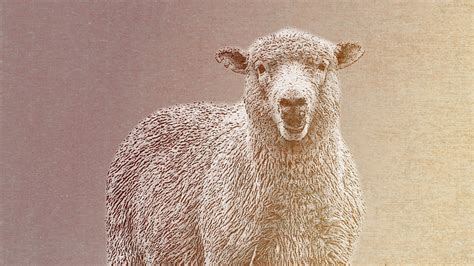 The Carson Center for Theological Renewal