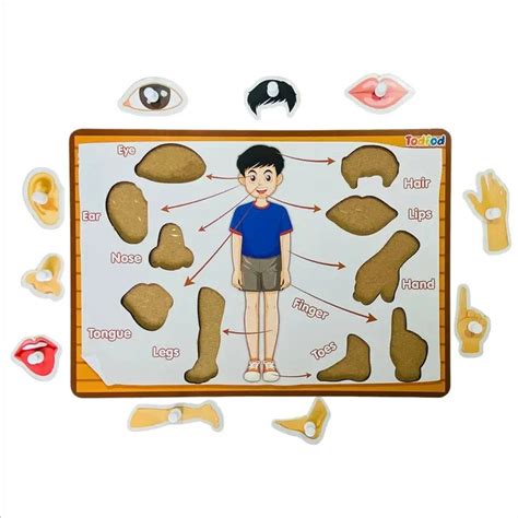 Todfod Gujarati Kakko Wooden Jigsaw Puzzle for Children with Body Parts