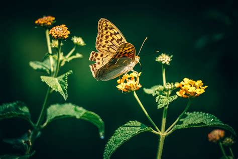 Image result for Unity 2D Chunk Loading