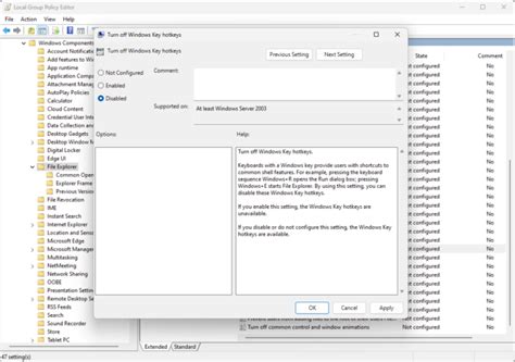 Win Key Enable 的图像结果