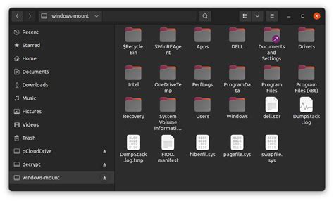 BitLocker Linux 的图像结果