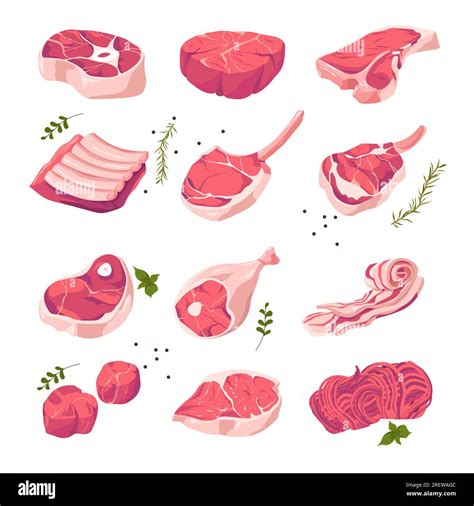 Pork meat, different kinds assortment in shop Stock Vector Image & Art ...