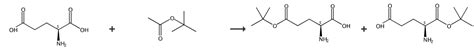 1-叔丁基 L-谷氨酸 | 45120-30-7