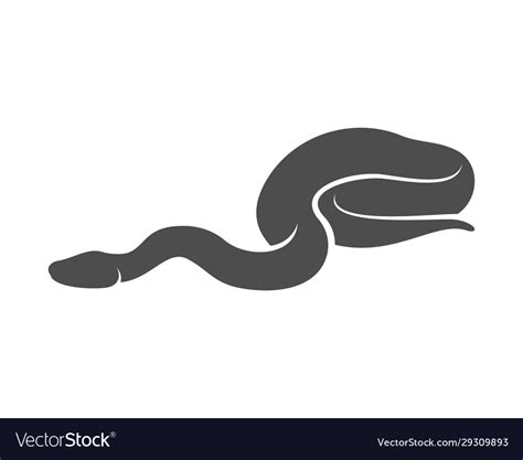 Image result for Bold Python Snake