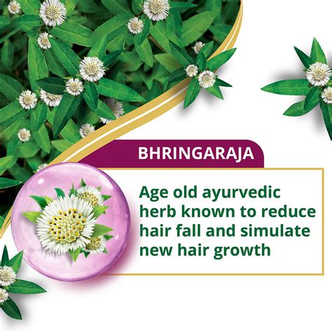 Buy Himalaya Anti-Hair Fall Bhringaraja Conditioner 80ml, 180ml ...
