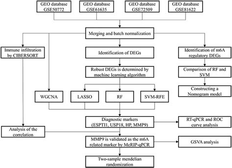 Research Design Flow Chart 的图像结果