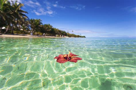 Incredibly Surprising Fiji Facts - Fiji Beaches
