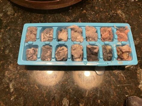 Image result for Zero Waste Hack