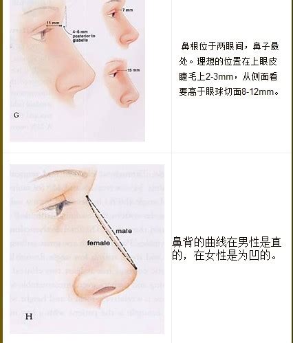 隆鼻手术有哪些 台北风华整形外科诊所-台湾游