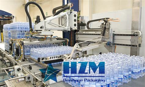 Image result for Automatic Palletizer Machine