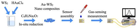 Au-Decorated WS2 Microflakes Based Sensors for Selective Ammonia ...