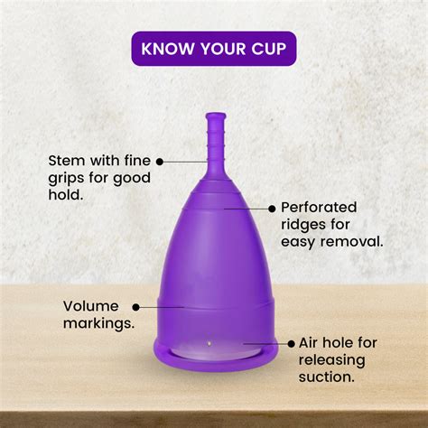 Menstrual Cup & Sterilizer Combo – Femisafe.in