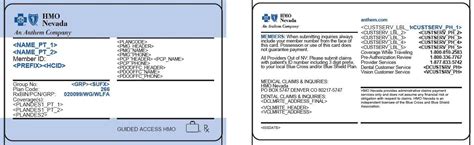 Image result for HMO Insurance Card Examples