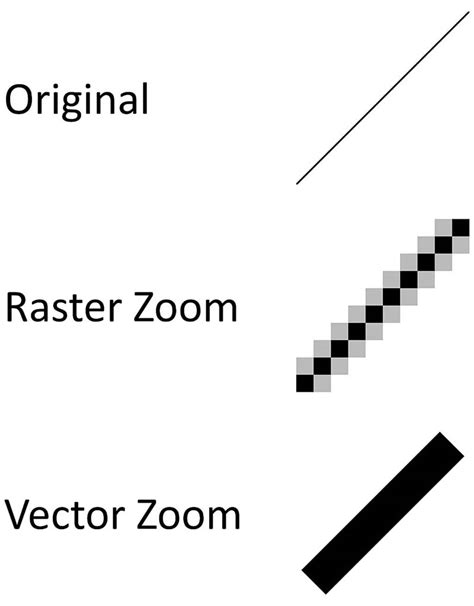 Vector Graphic Definition 的图像结果