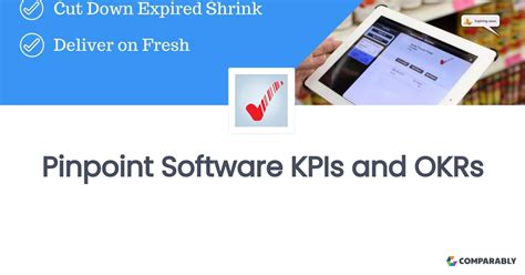 Rezultat imagine pentru Pinpoint Software