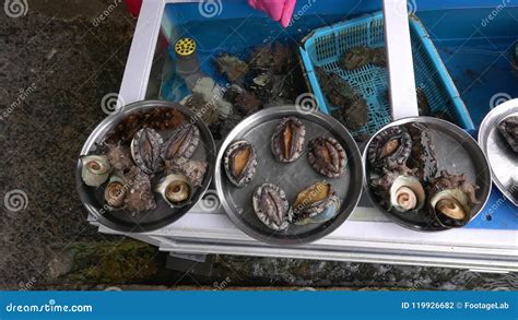 Image result for Alive Shellfish