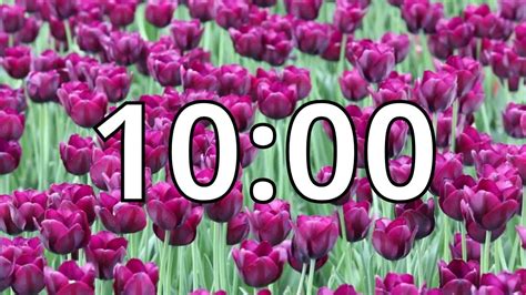 Image result for 10 Min Spring Timer