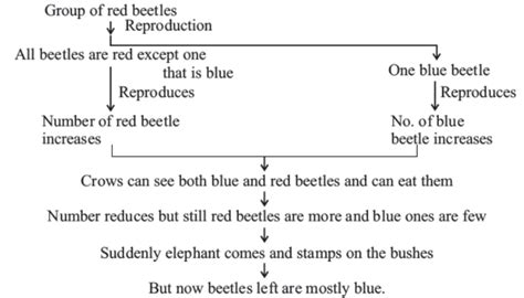 Class 10 Science Chap Evolution Explain 的图像结果