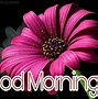 Image result for Good Morning Sunshine and Flowers