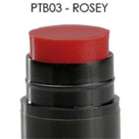 Palladio Herbal Tinted Lip Balm (Rosey) Price in India, Specs, Reviews ...