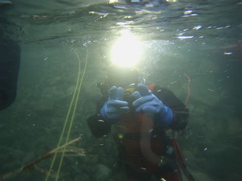 Image result for Project Spark Diving Tutorial