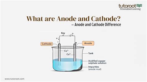 Image result for Cathode Anode Salt Water